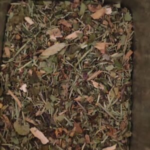 IMG_20231023_193708 te congestion