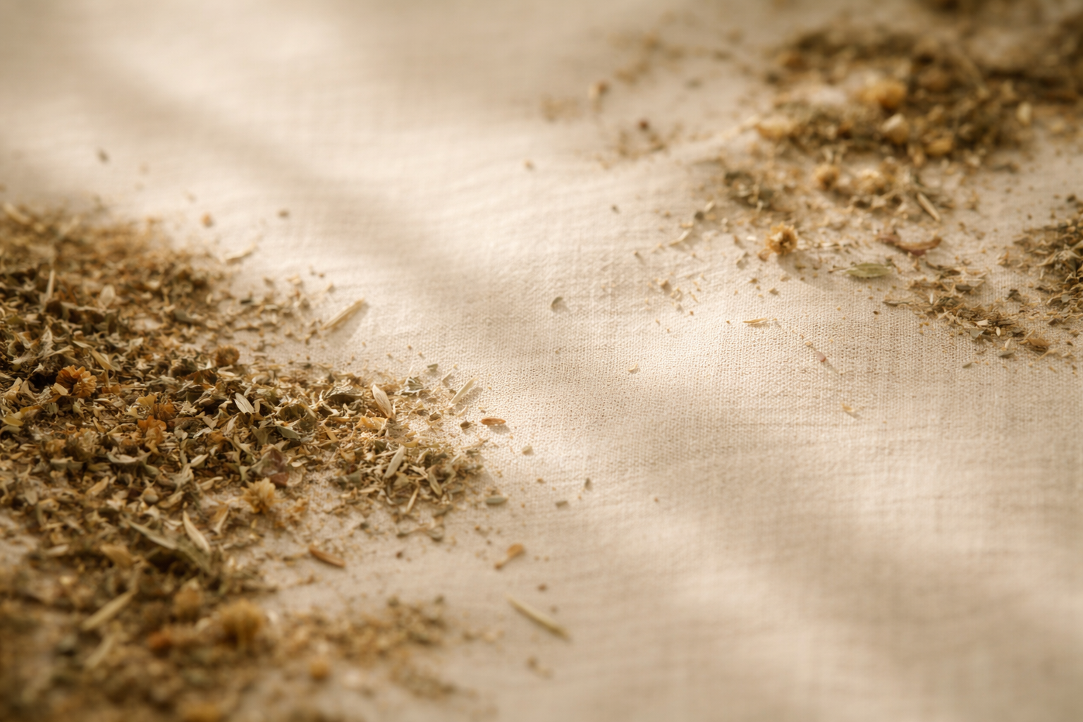 Origen Vivo: infusiones funcionales que cumplen lo que prometen