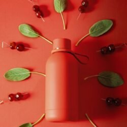 Botella térmica – Blush – Manhattan