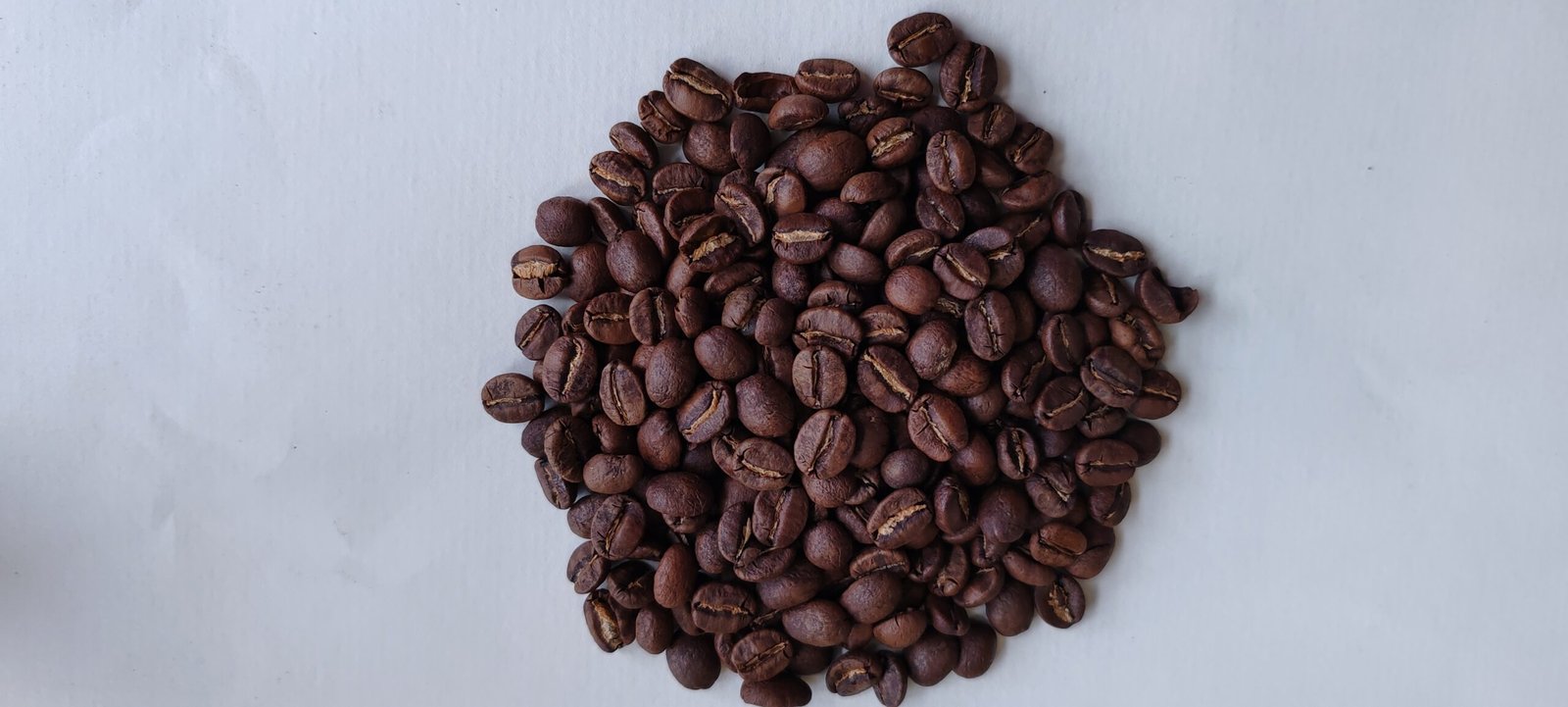 Café de especialidad de Etiopía en grano